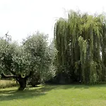 Bed & Breakfast Il Toscanello 4*