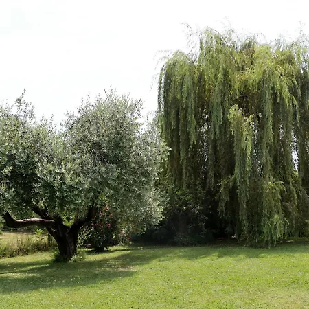 Bed & Breakfast Il Toscanello 4*
