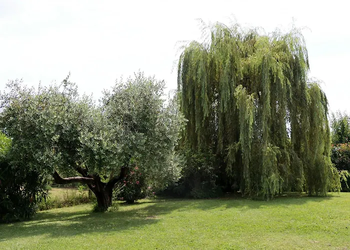 Bed & Breakfast Il Toscanello 4*