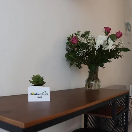 فندق مبيت وإفطار Il Toscanello